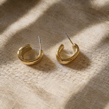Load image into Gallery viewer, Rama Earrings - Stainless Steel