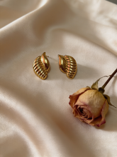 Load image into Gallery viewer, Khadija Earrings - Stainless Steel